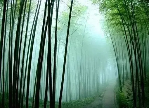 三.webp (3).jpg