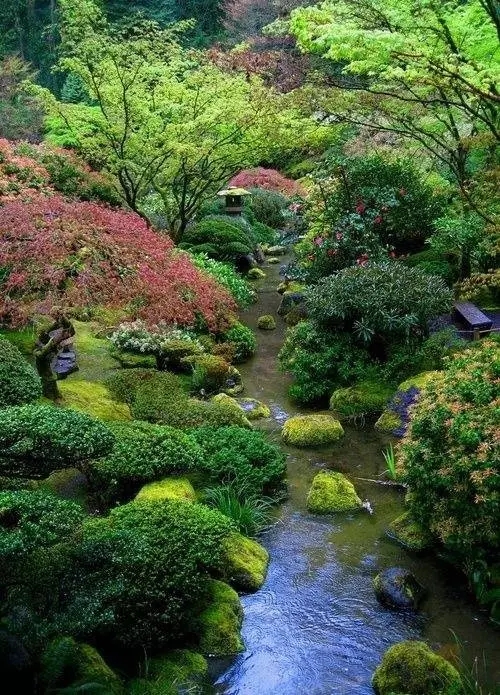12.webp (1).jpg