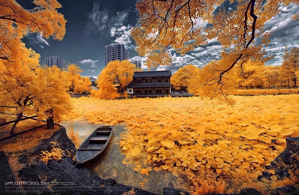 13.webp (5).jpg
